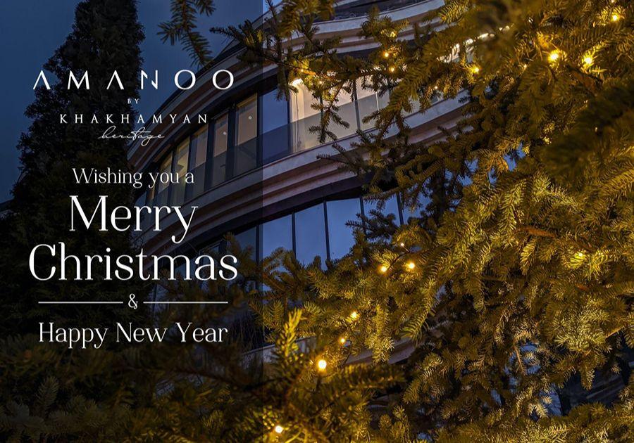 Reflecting on 2024: A Landmark Year for Amanoo